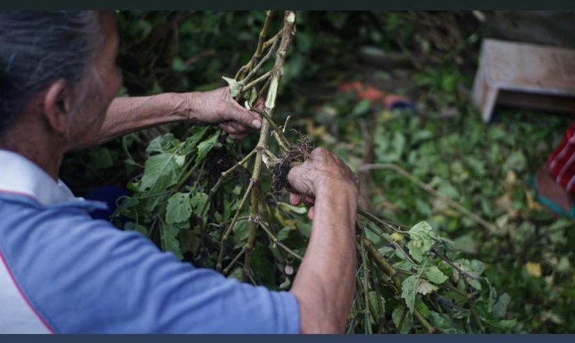 Olis Center Empowering Community by Processing Essential Waste